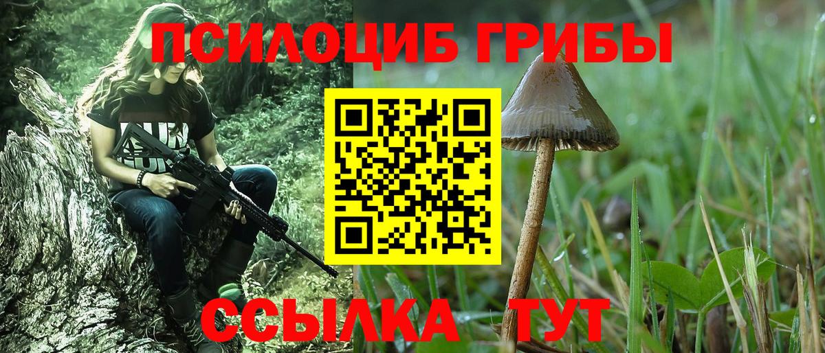 Галлюциногенные грибы Cubensis Мурманск