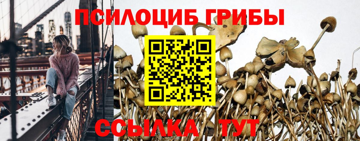 Псилоцибиновые грибы прущие грибы  Вход с VPN  Мурманск 